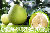 蜜柚