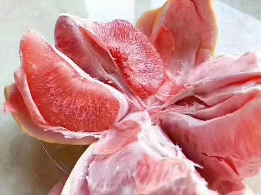 红肉蜜柚代办